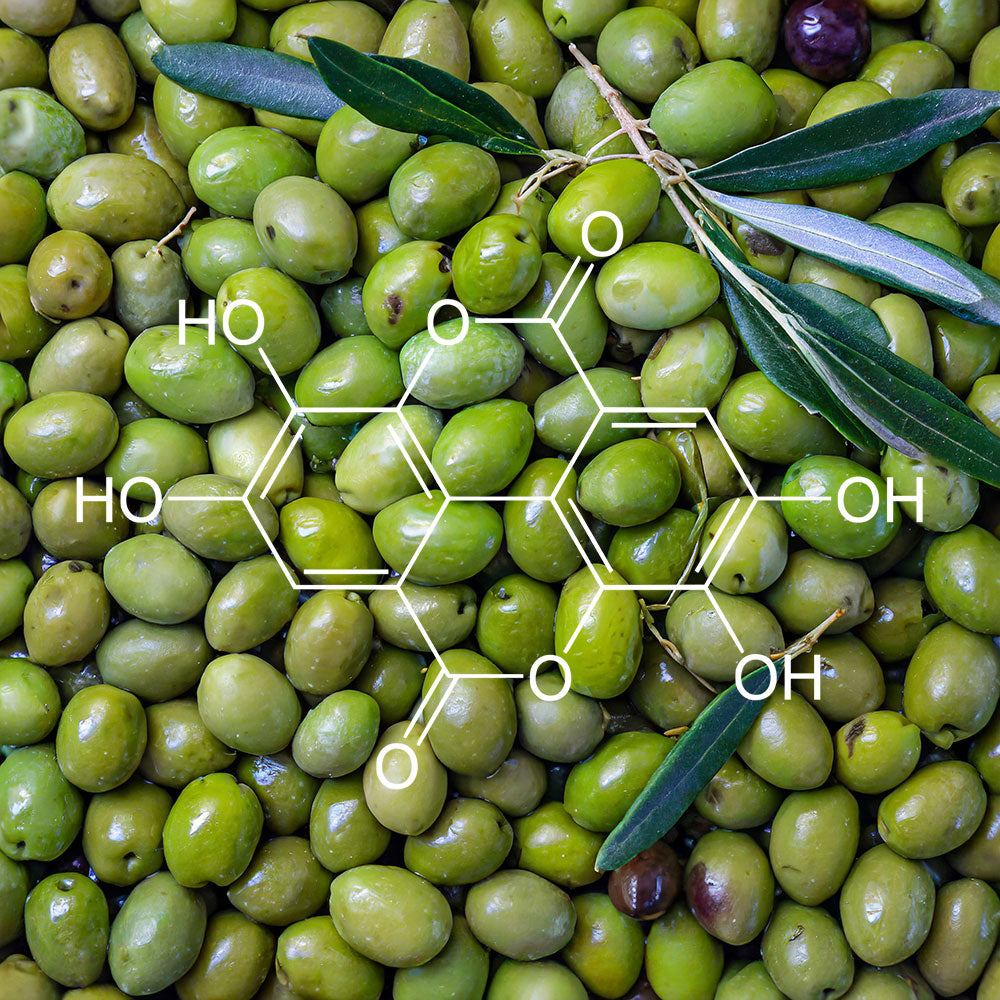The Health Benefits of Polyphenols in EVOO