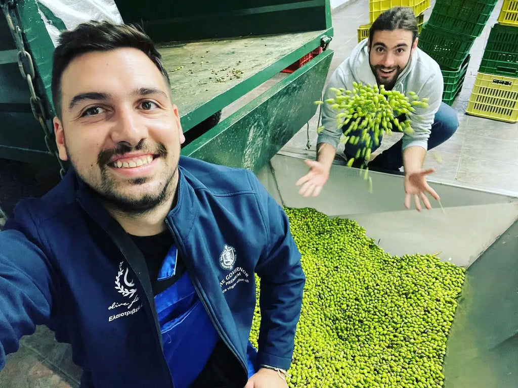 The Governor Olive Oil: Tradition, Innovation, and Science