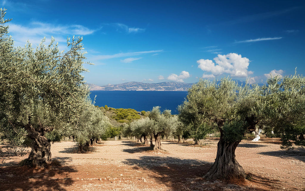 The Health Benefits of Corfu Extra Virgin Olive Oil